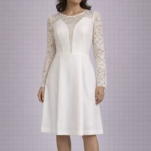 Gianni Bini Women's Small Ivory Lace Fit & Flare Dress Pleated Long Sleeve